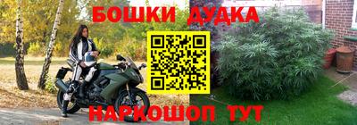 PSILOCYBIN Волжский