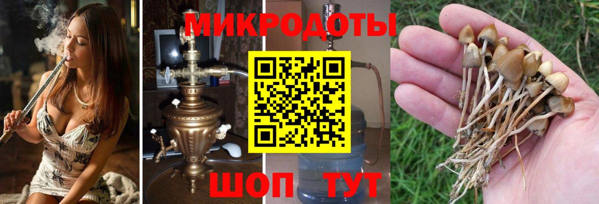 Галлюциногенные грибы прущие грибы Каспийск