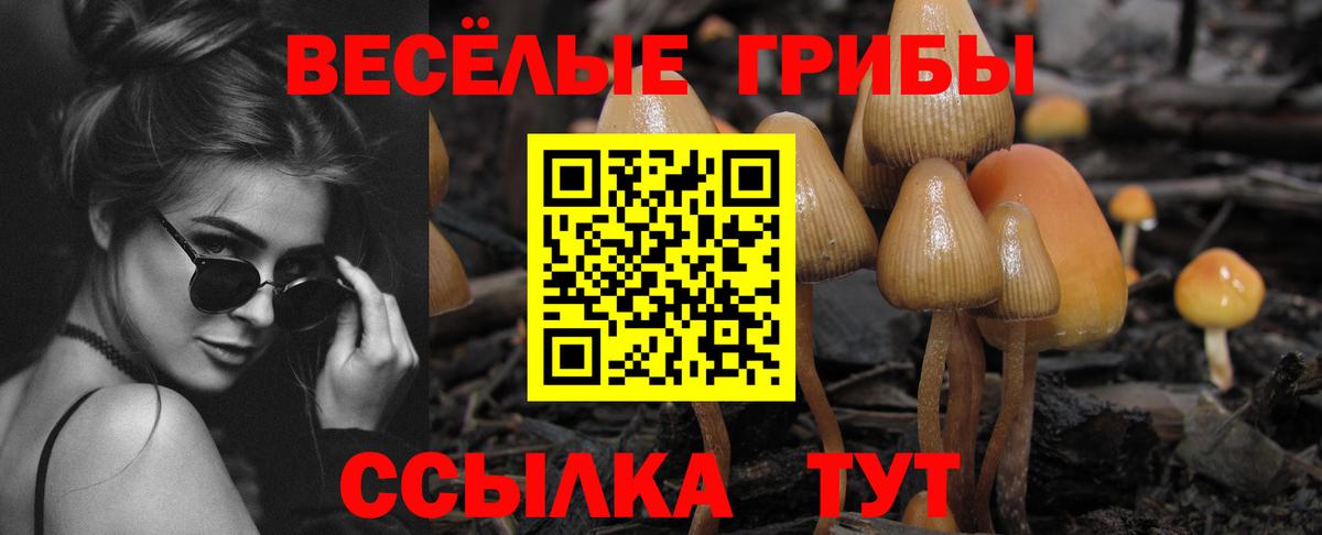 Галлюциногенные грибы Psilocybine cubensis  Псилоцибиновые грибы мухоморы  Каспийск  Вход с VPN 